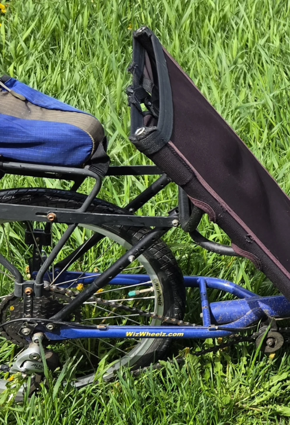 Blue TerraTrike Cruiser Recumbent Trike - photo 4