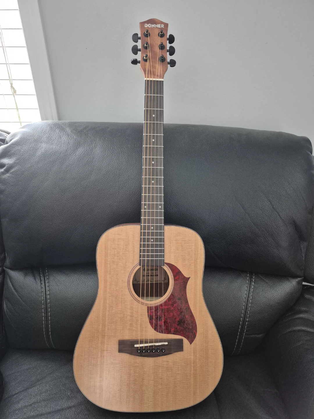 Donner Acoustic Guitar Starter Pack with Accessories