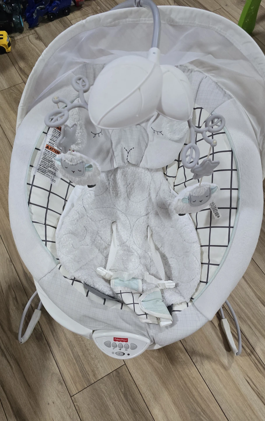 Fisher-Price Baby Rocker Bouncer