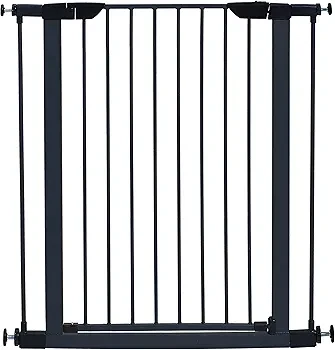 Solid Black Metal Gate - photo 5