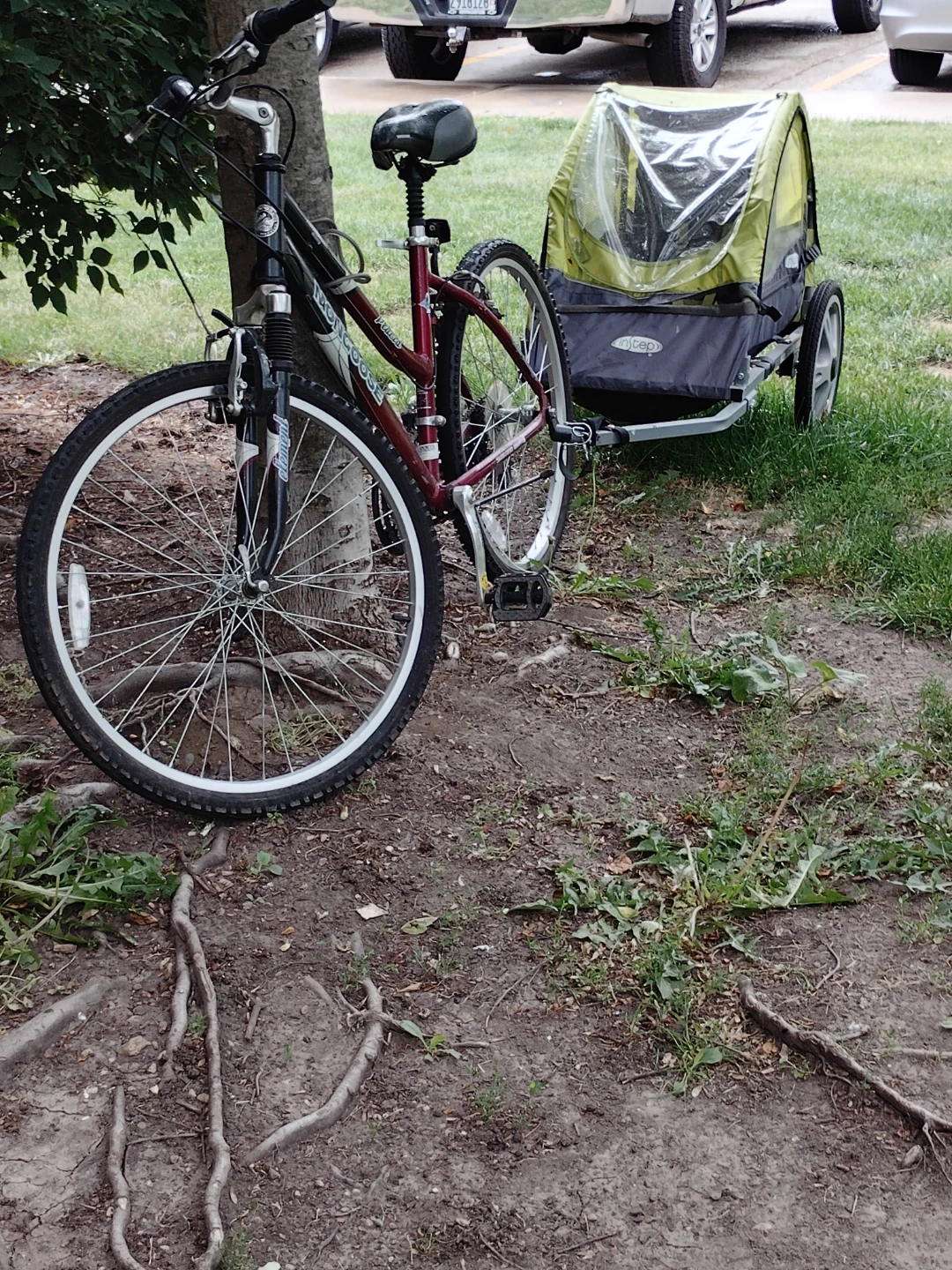 Mongoose Mountain Bike with InStep Trailer