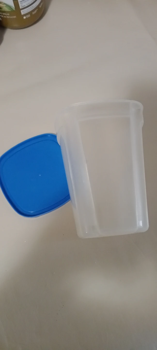 Plastic Food Storage Container with Blue Lid