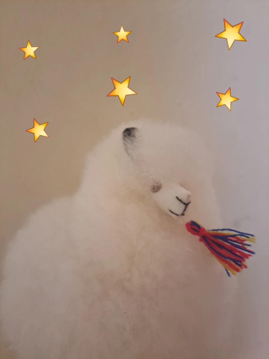 🌟Wishlist🌟