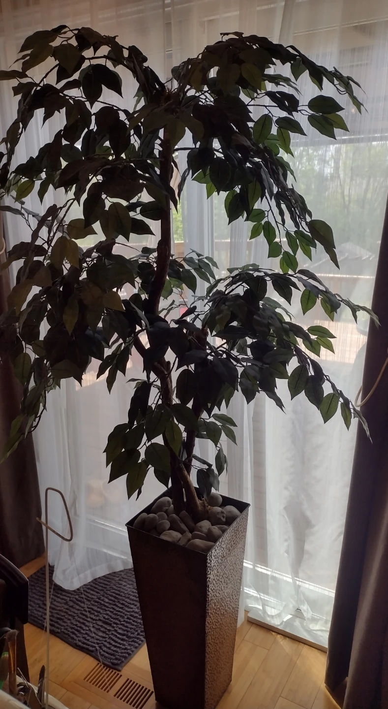 Artificial Ficus Tree in Decorative Pot - photo 4