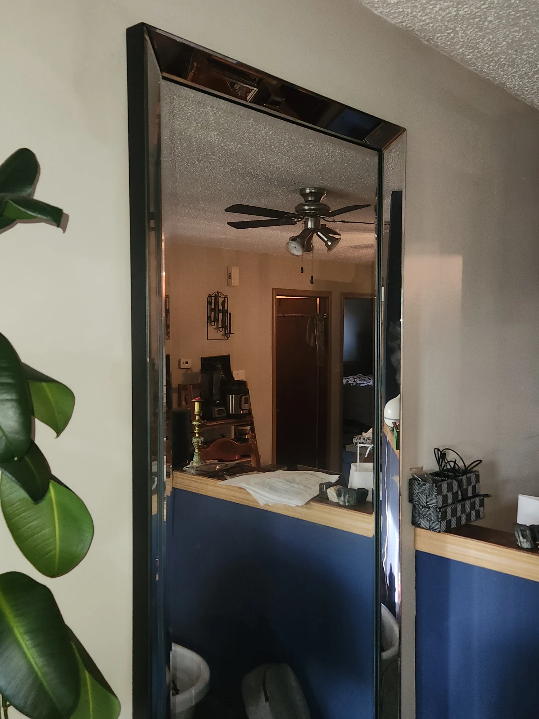 Large Decorative Mirror
