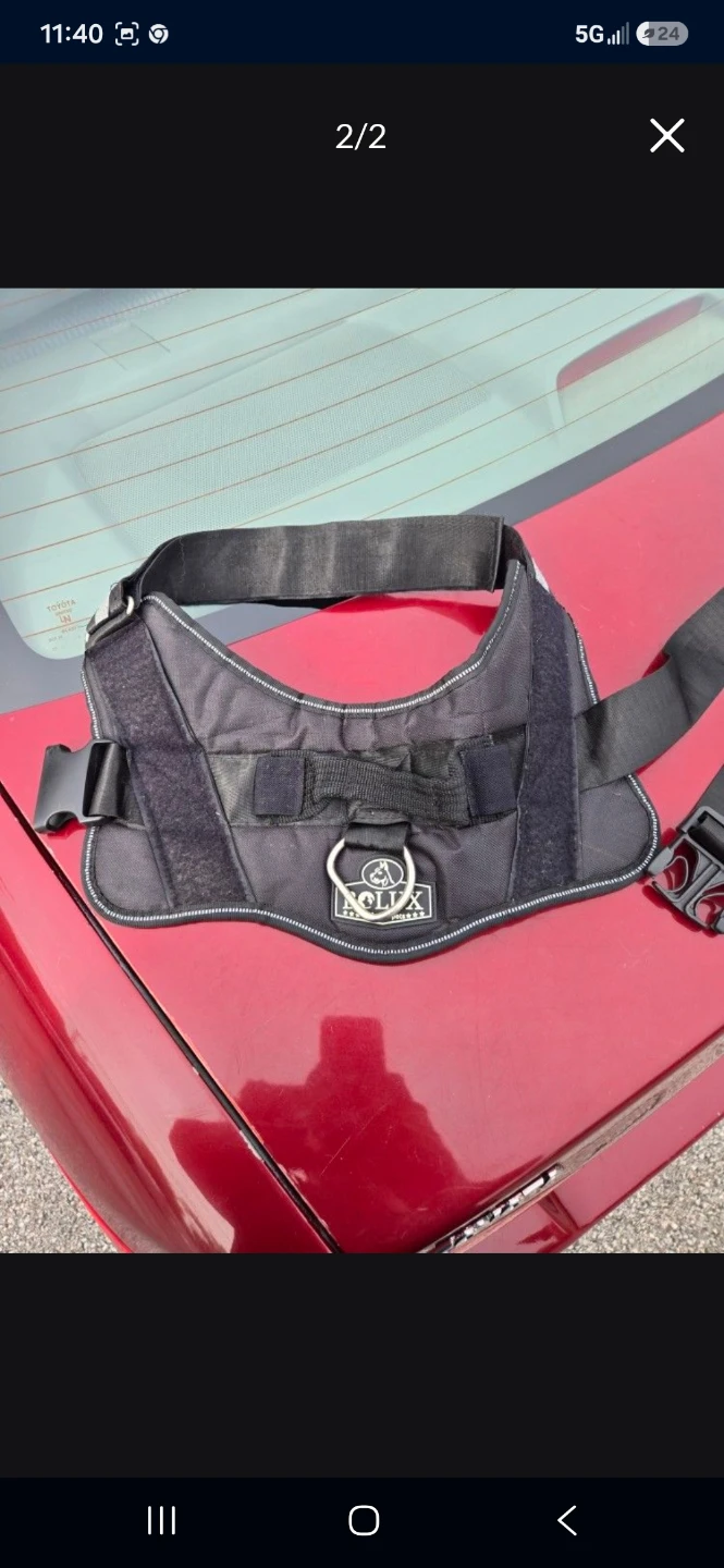 XXL K9 Harness
