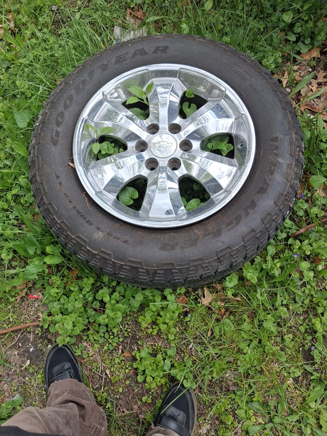 Chevy Wheel and Tire