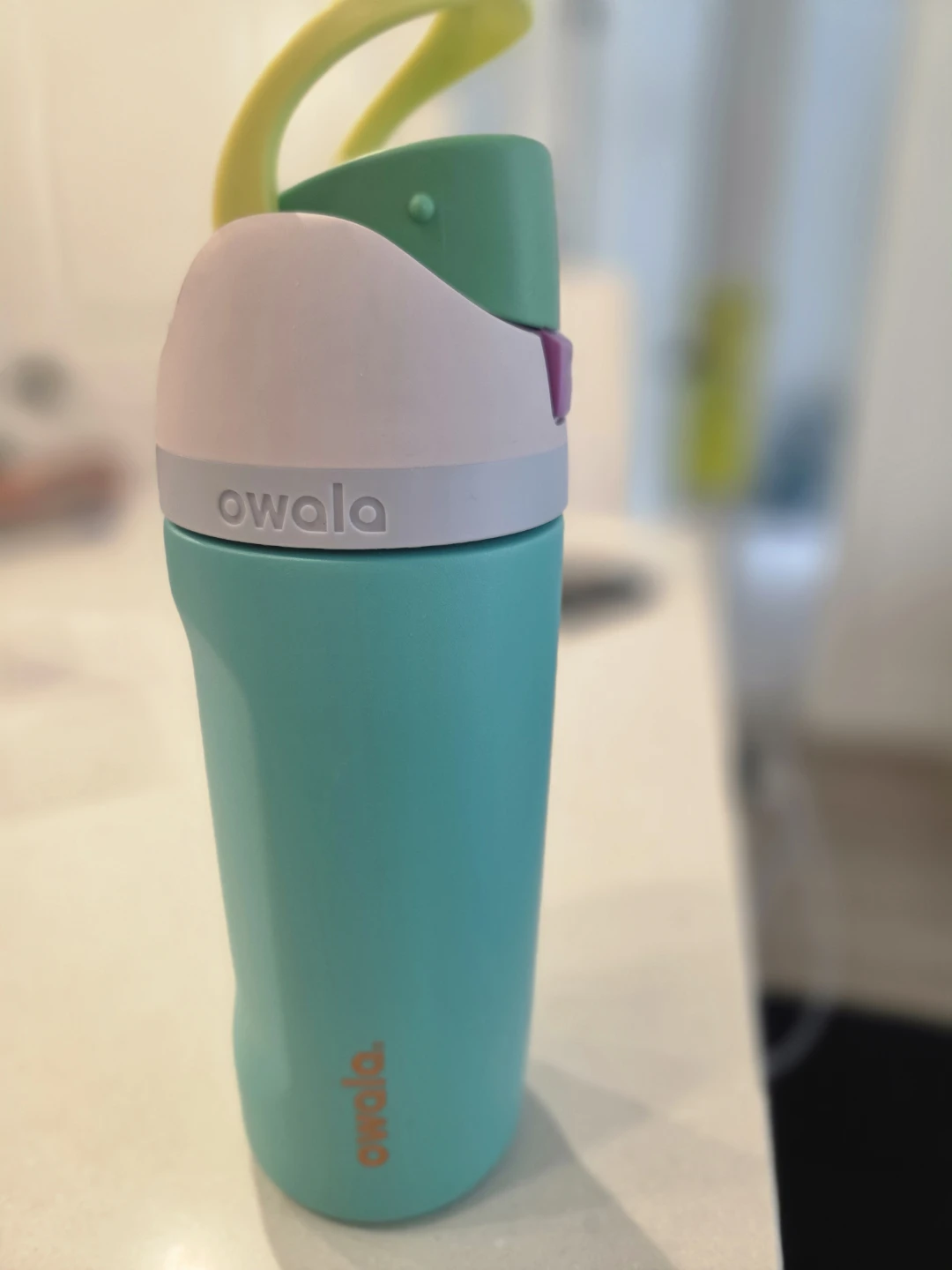 Owala FreeSip Water Bottle 16oz