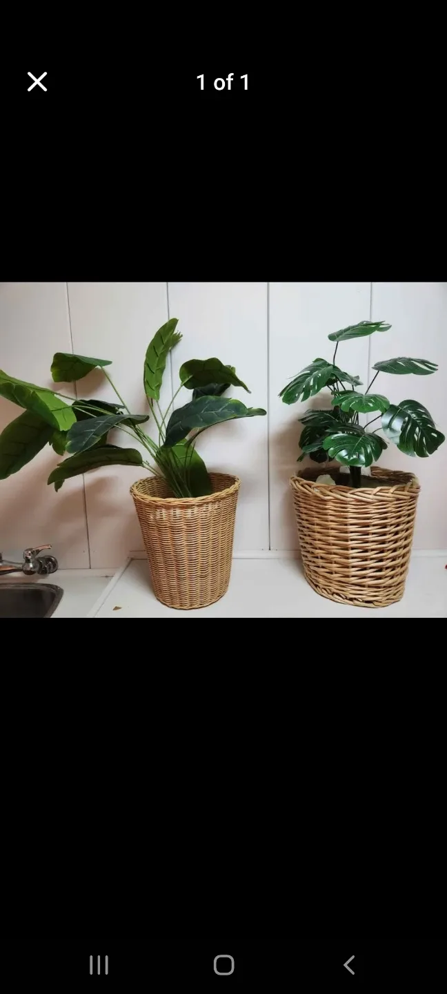 Artificial Plants in Wicker Baskets