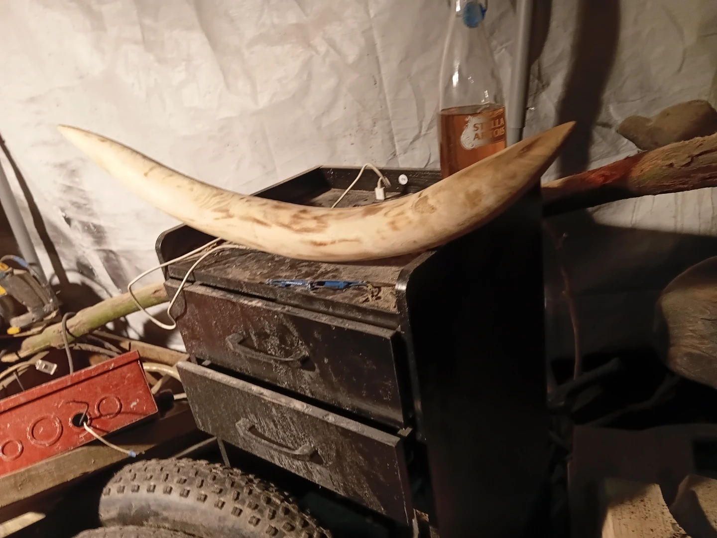 Decorative Horn - photo 5