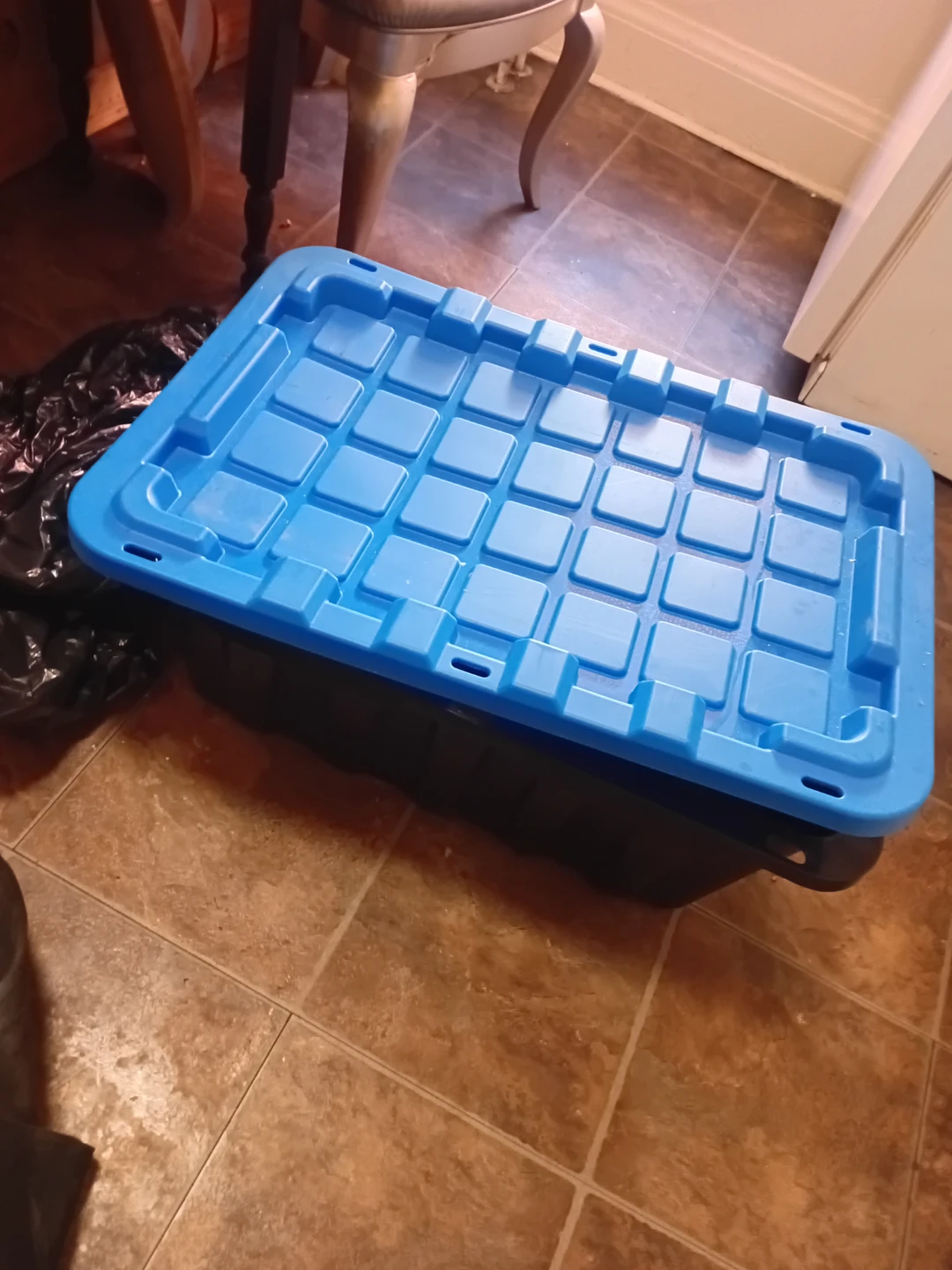Blue Plastic Storage Bin