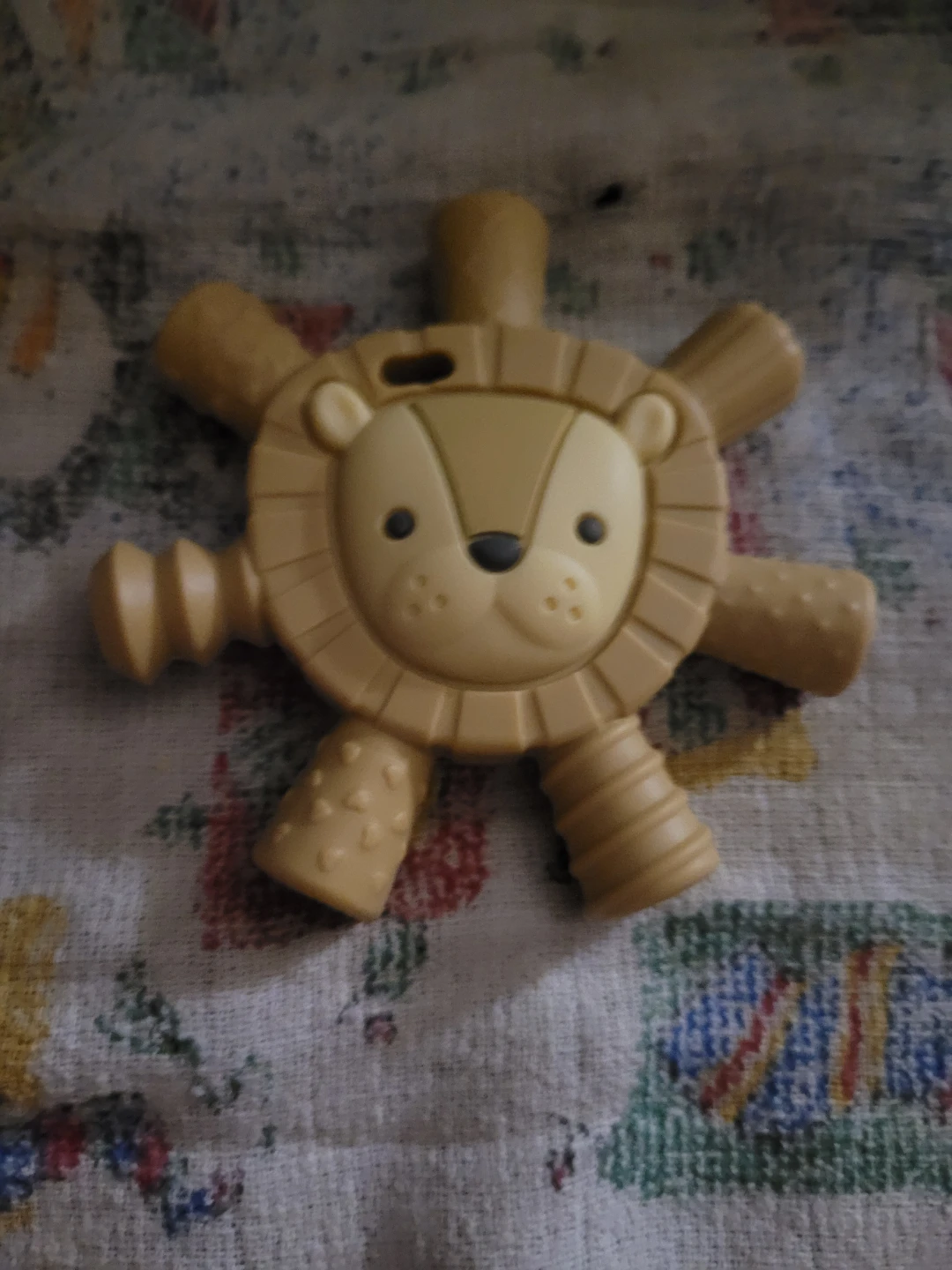 Itzy ritzy teether molar teether