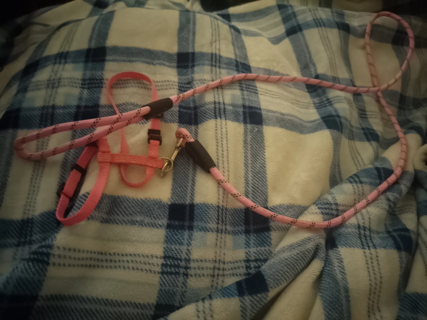 Pink Dog Harness and Leash Set