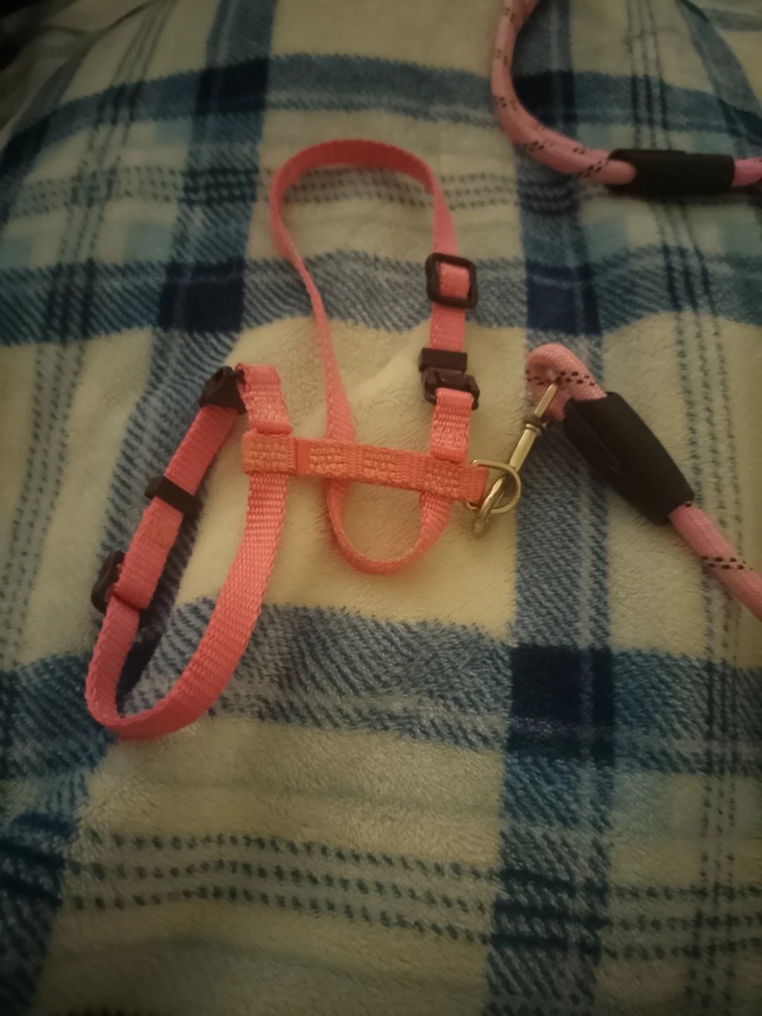 Pink Dog Harness and Leash Set - photo 2