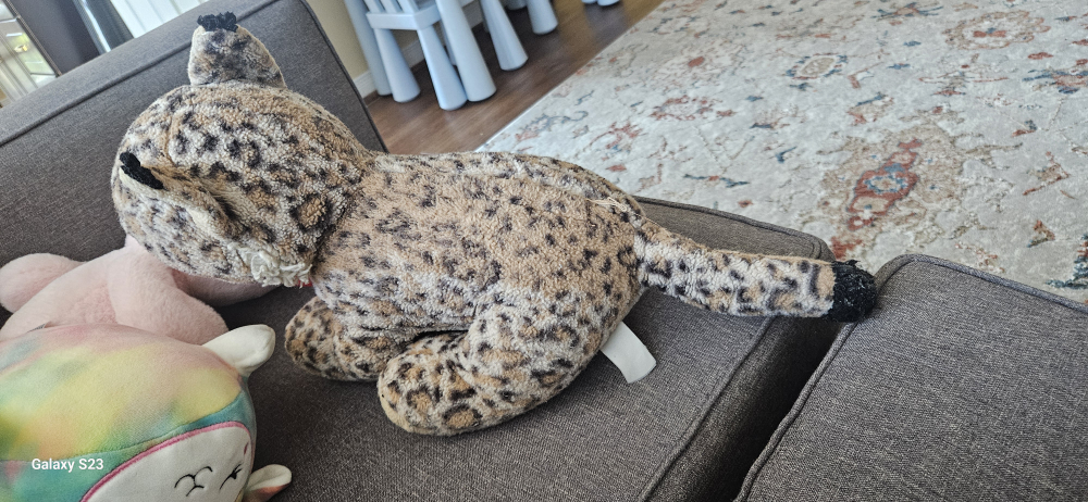 Bobcat for kids , adorable and it makes cat meow noises - photo 3