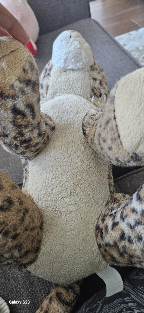 Bobcat for kids , adorable and it makes cat meow noises - photo 4