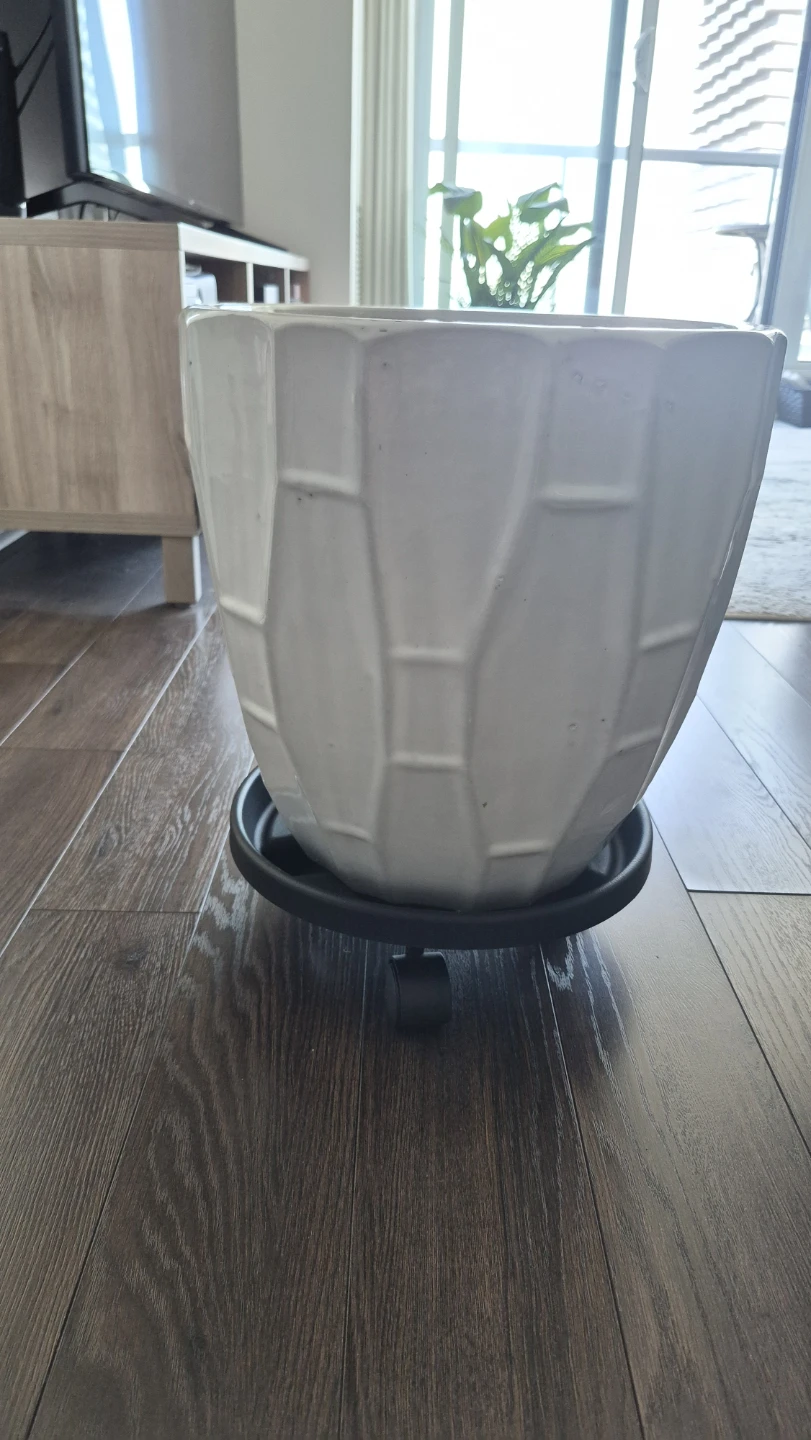 White Ceramic Pot with FREE Roller Stand