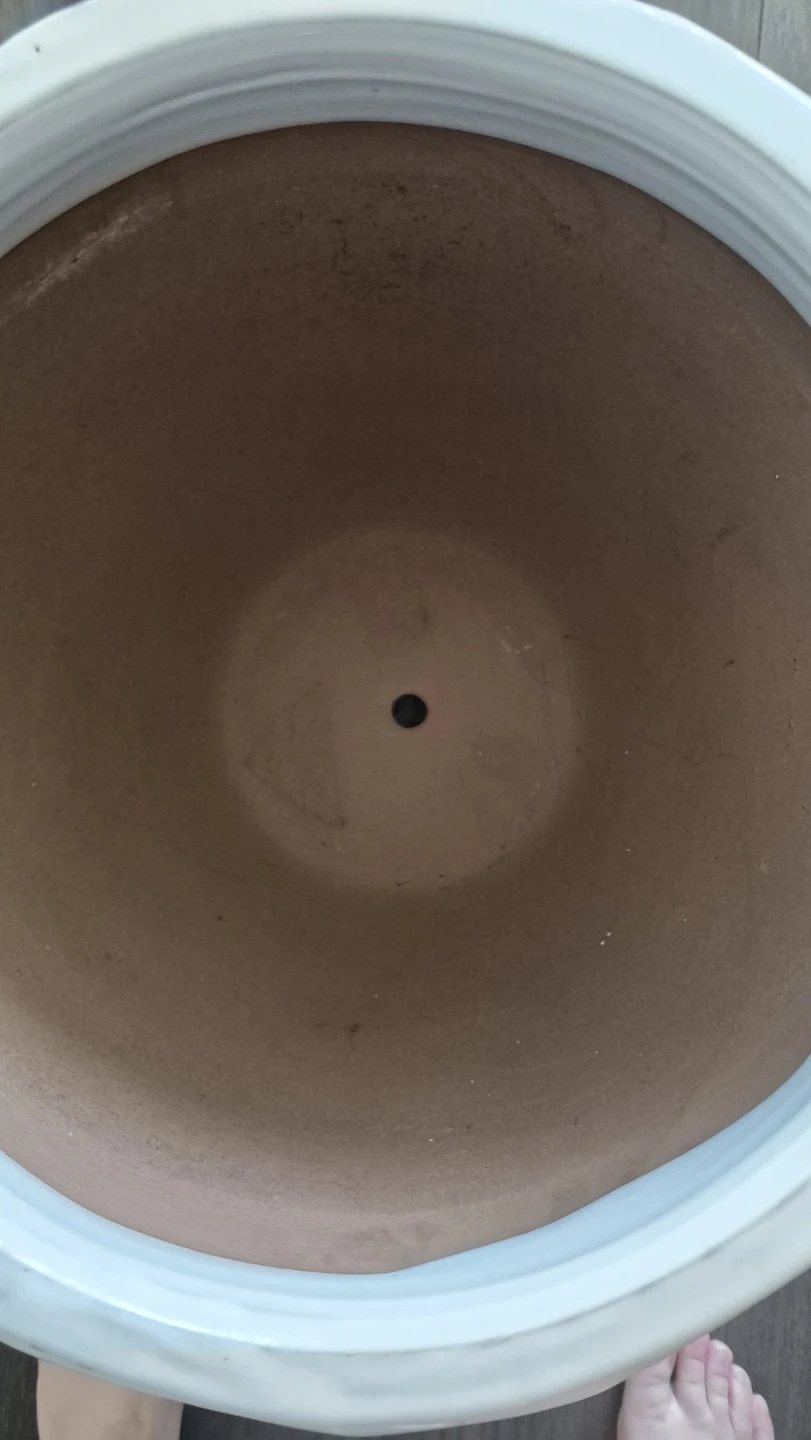 White Ceramic Pot with FREE Roller Stand - photo 4