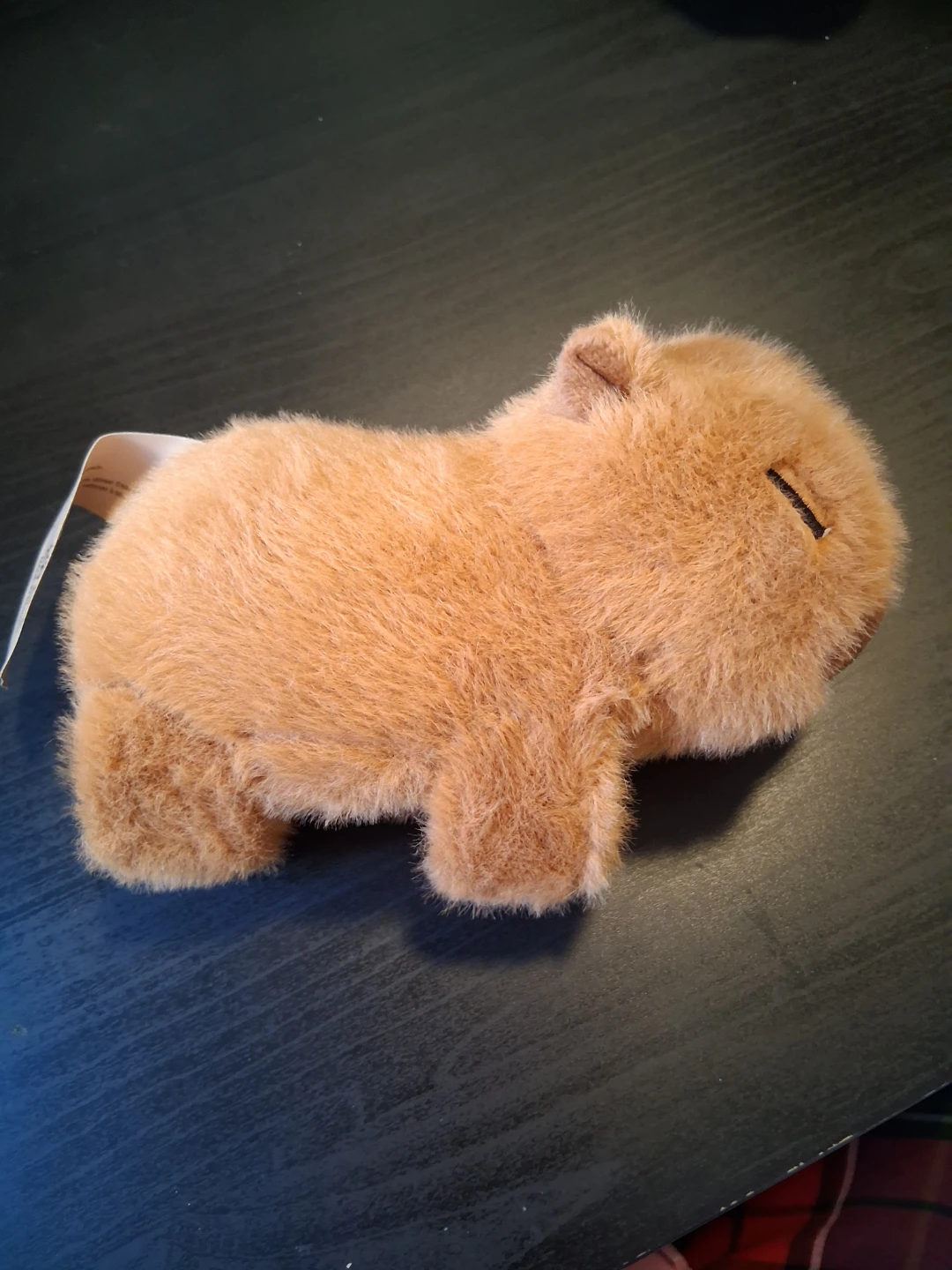 Plush Capybara Toy