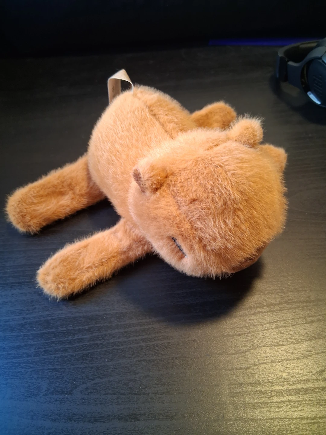 Plush Capybara Toy - photo 2