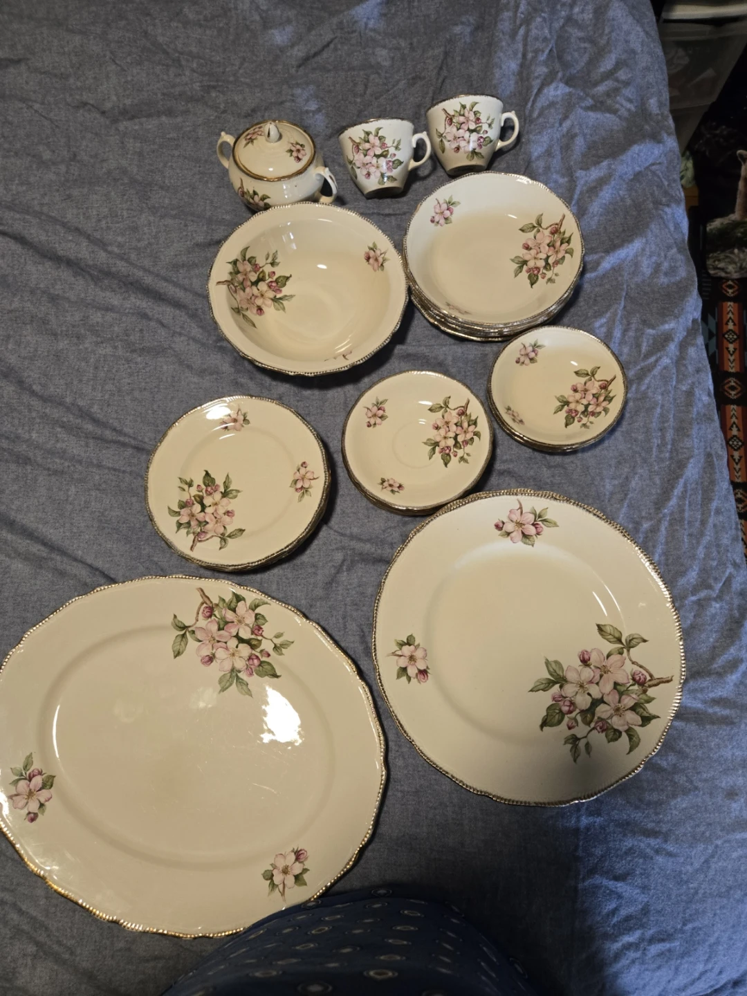 Royal Swan "Blossomtime" China Set