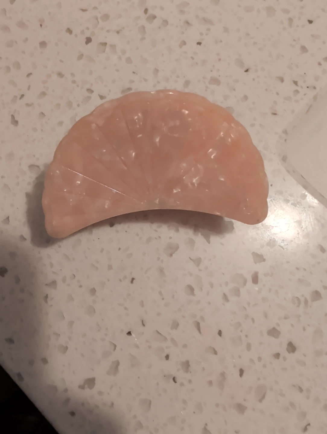 Seashell claw clip