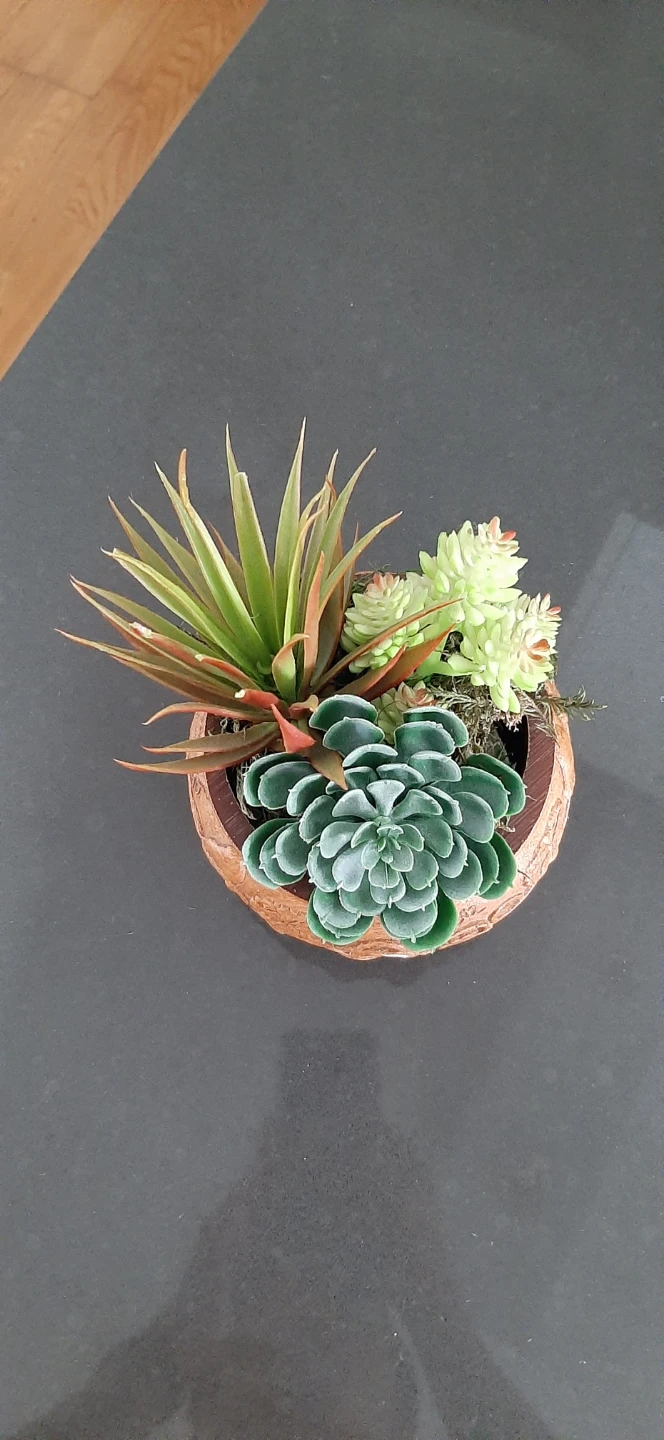 Artificial Succulent Arrangement in Decorative Pot - photo 2
