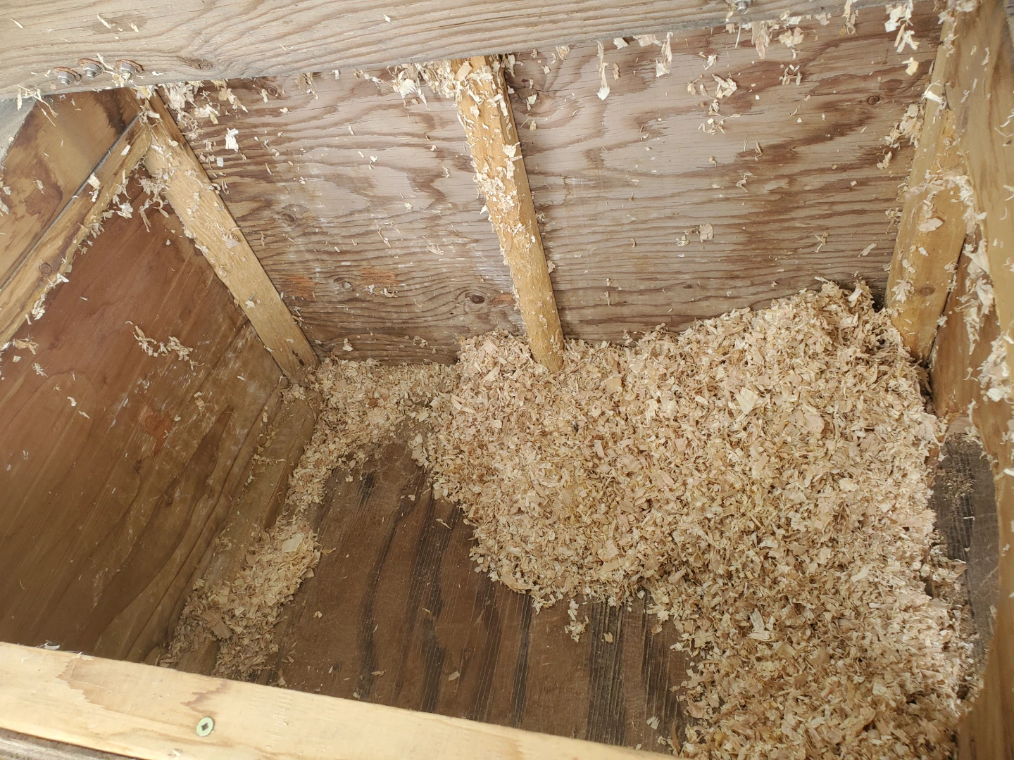 Rabbit hutch - photo 4