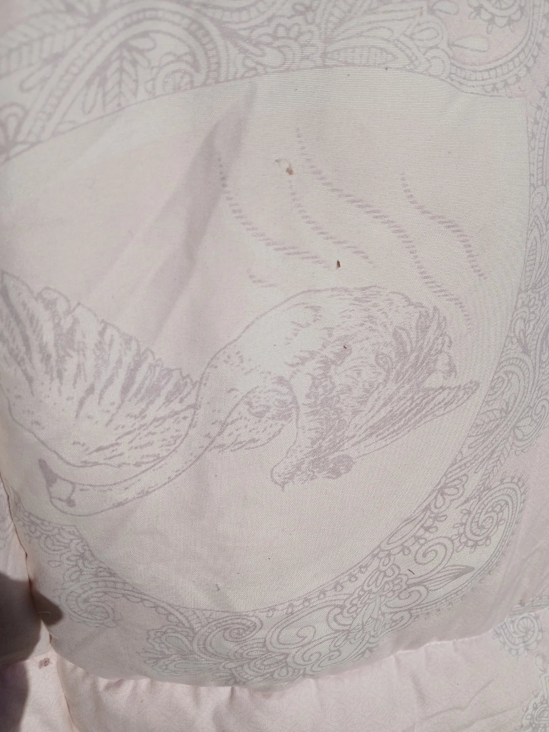 LUOIANDANDON Goose Down comforter - photo 3