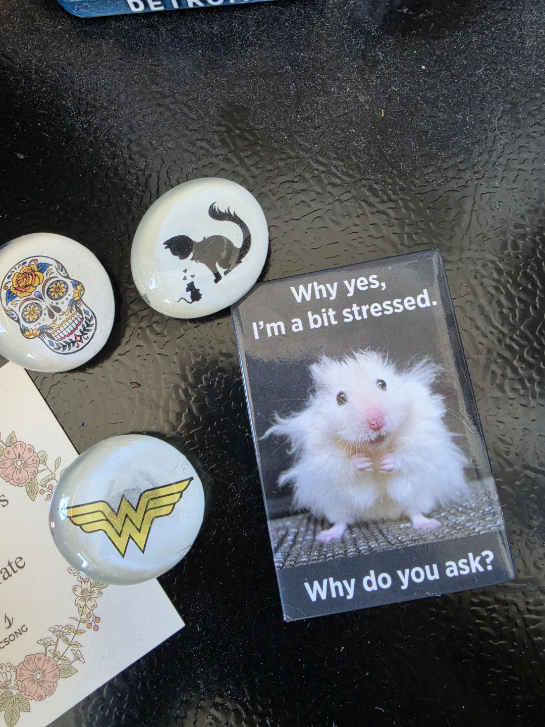Free Magnets - photo 2