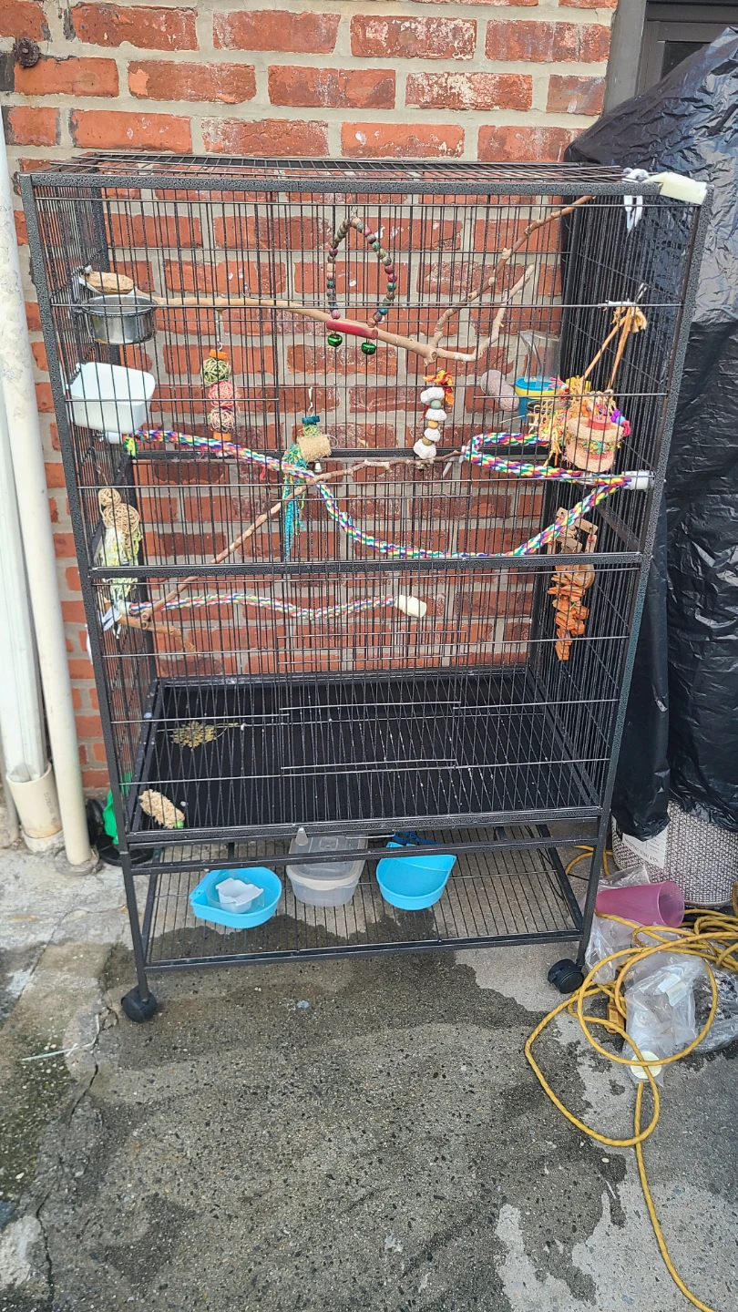 Large Bird Cage with Accessories - photo 2