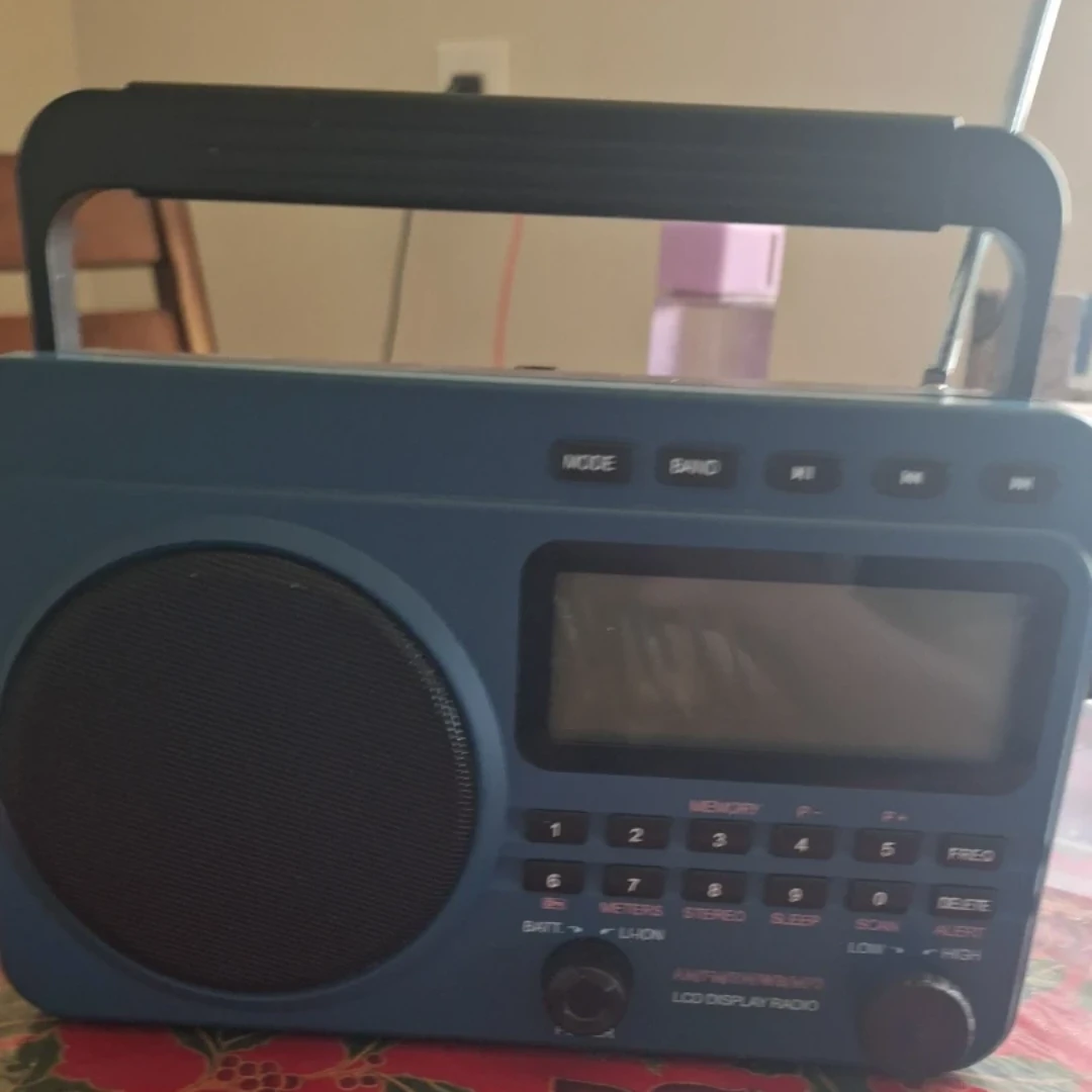 Blue AM/FM LCD Display Radio