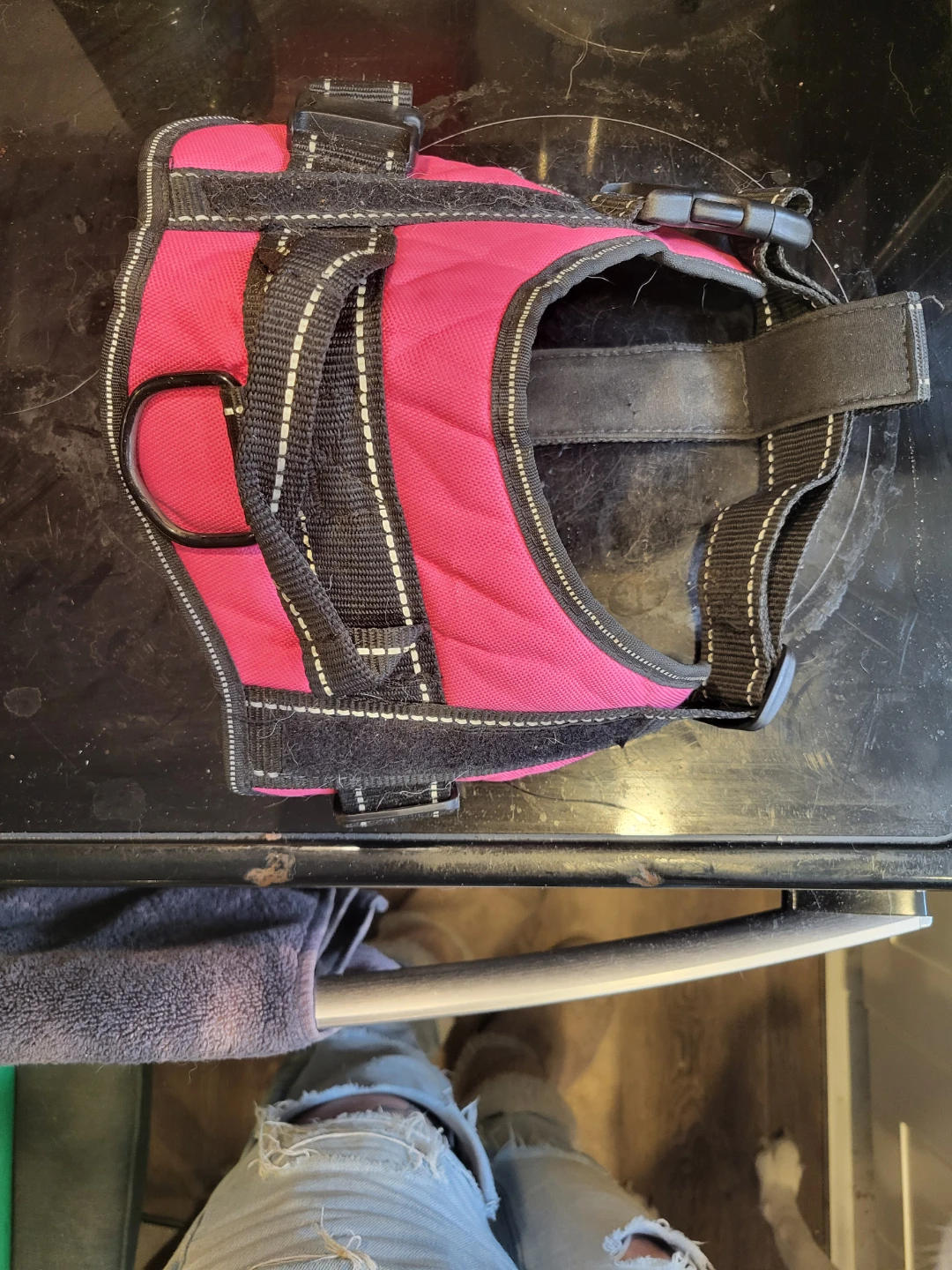 Dog Stuff - photo 3
