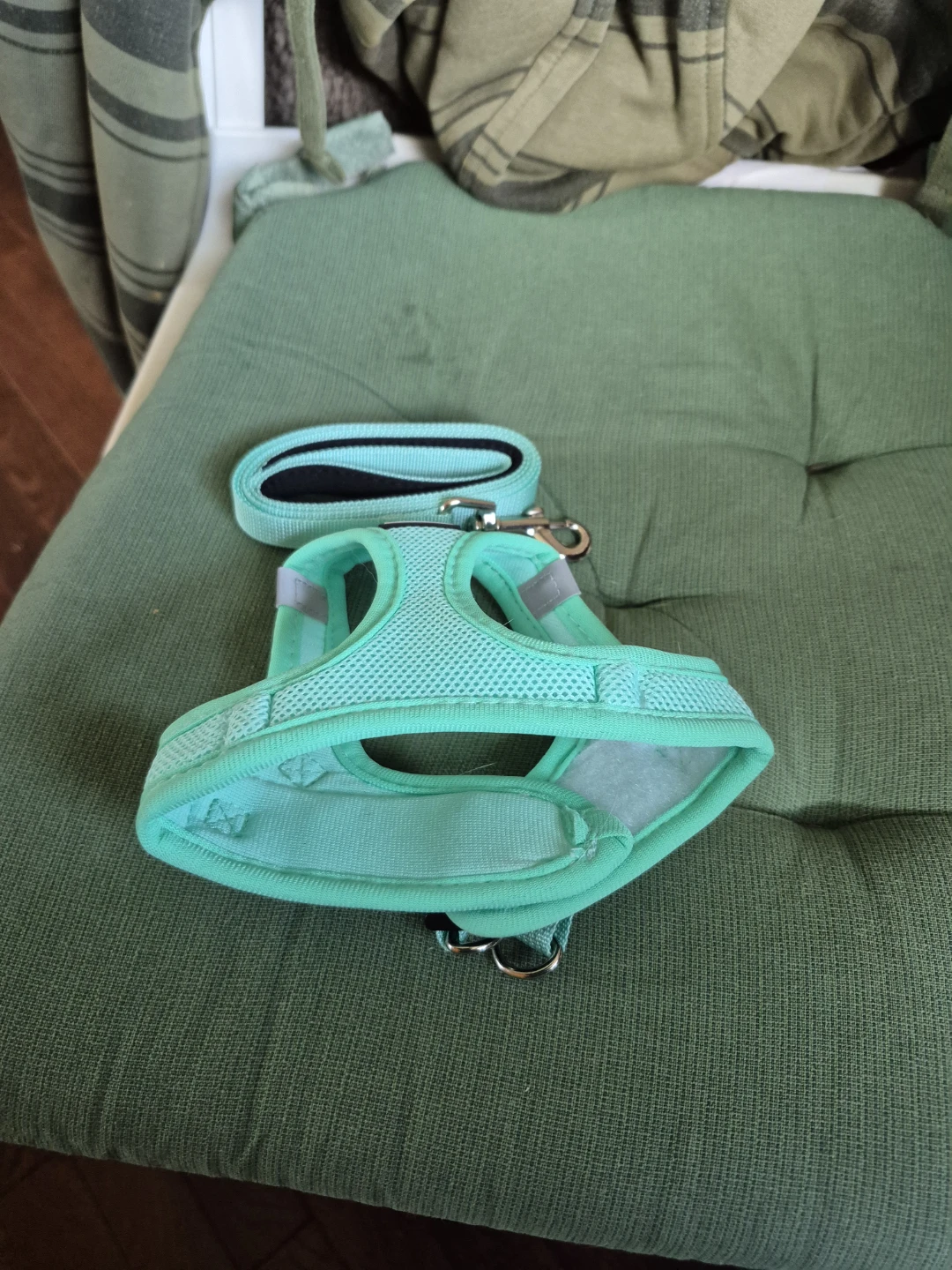 Kitten Harness with Leash Set