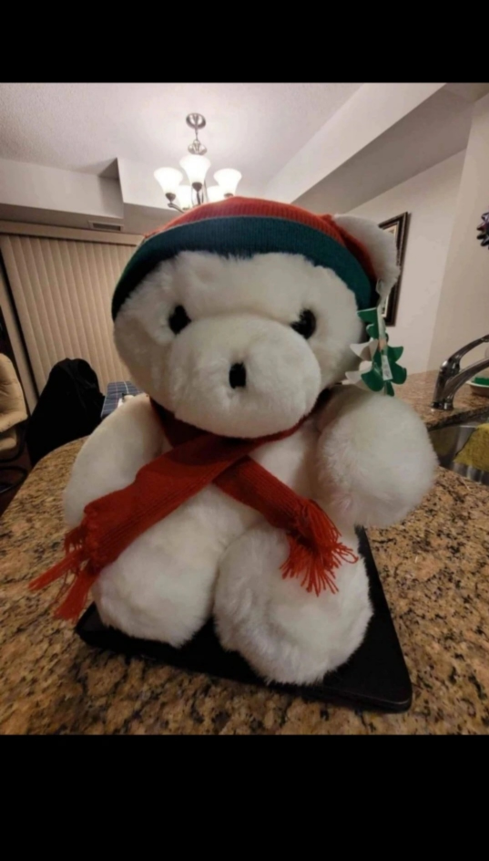 HBC Collectable Christmas Teddy Bear