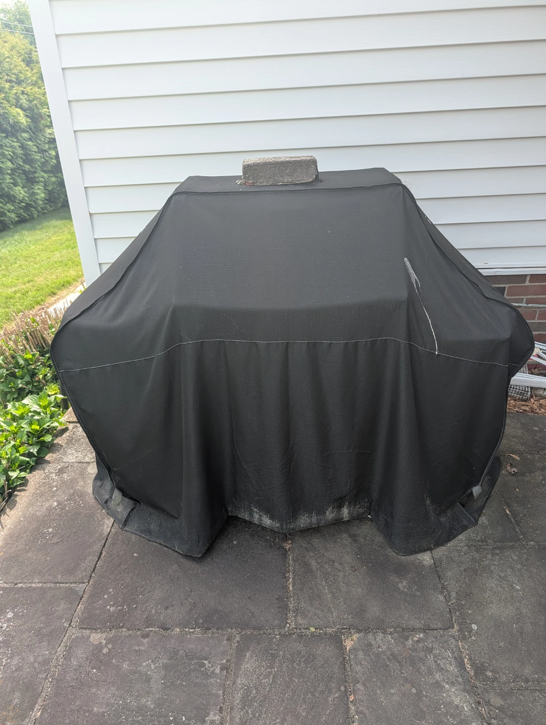 Weber Gas Grill