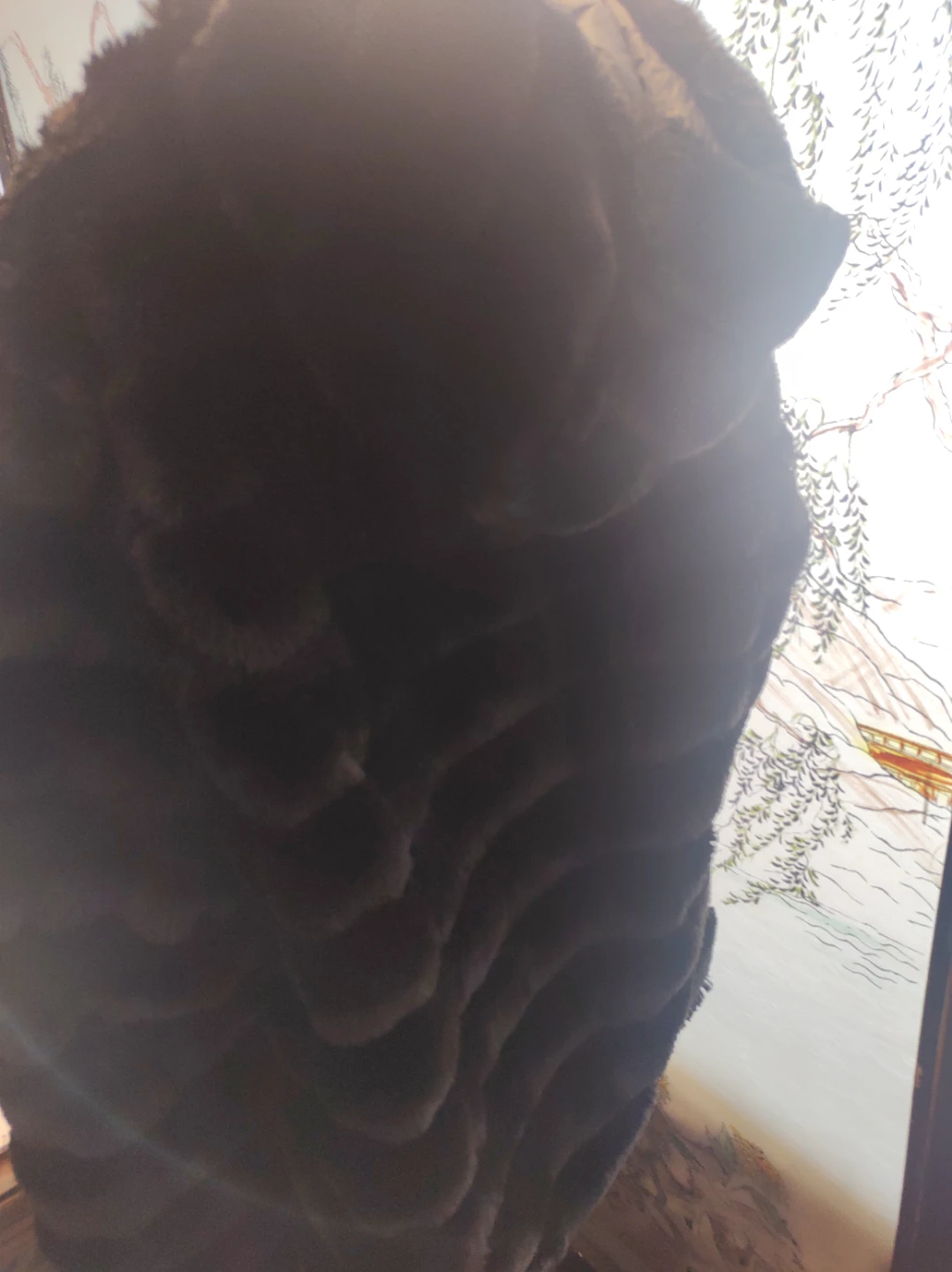 Women's Faux Fur Jacket - photo 2