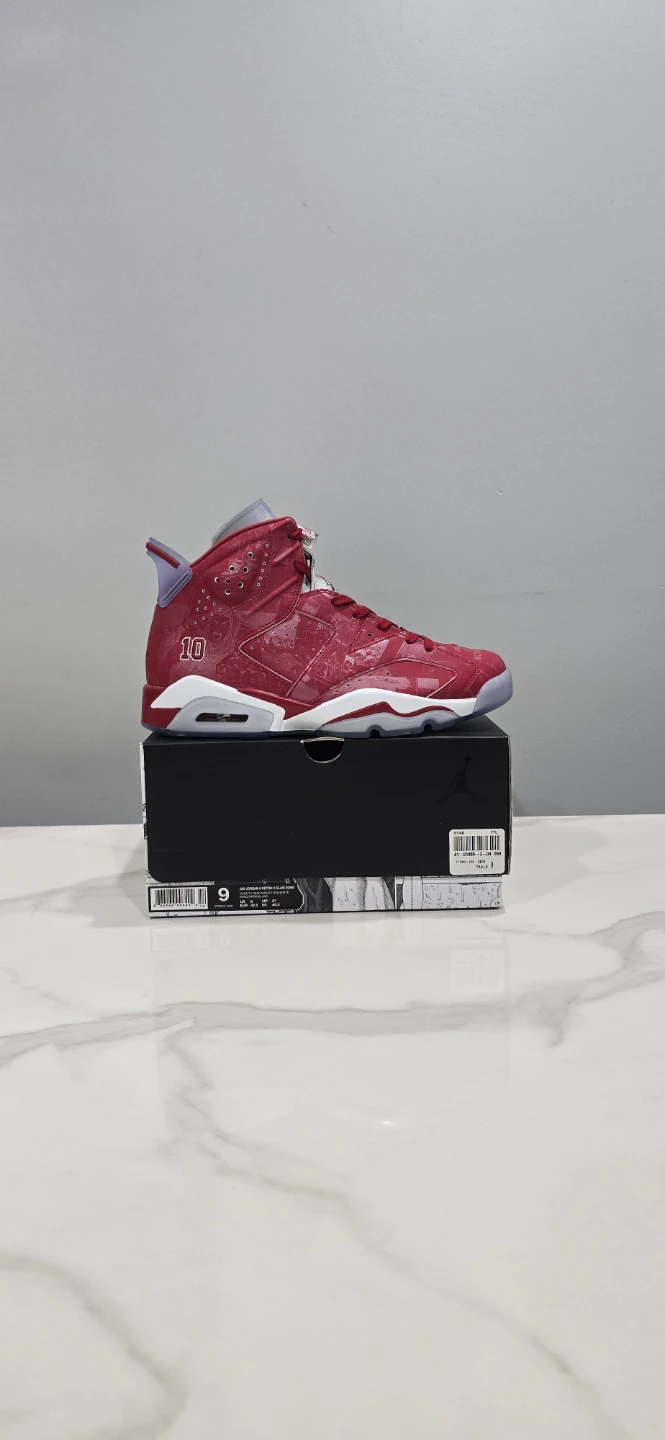 Air Jordan 6 Slam Dunk size 9