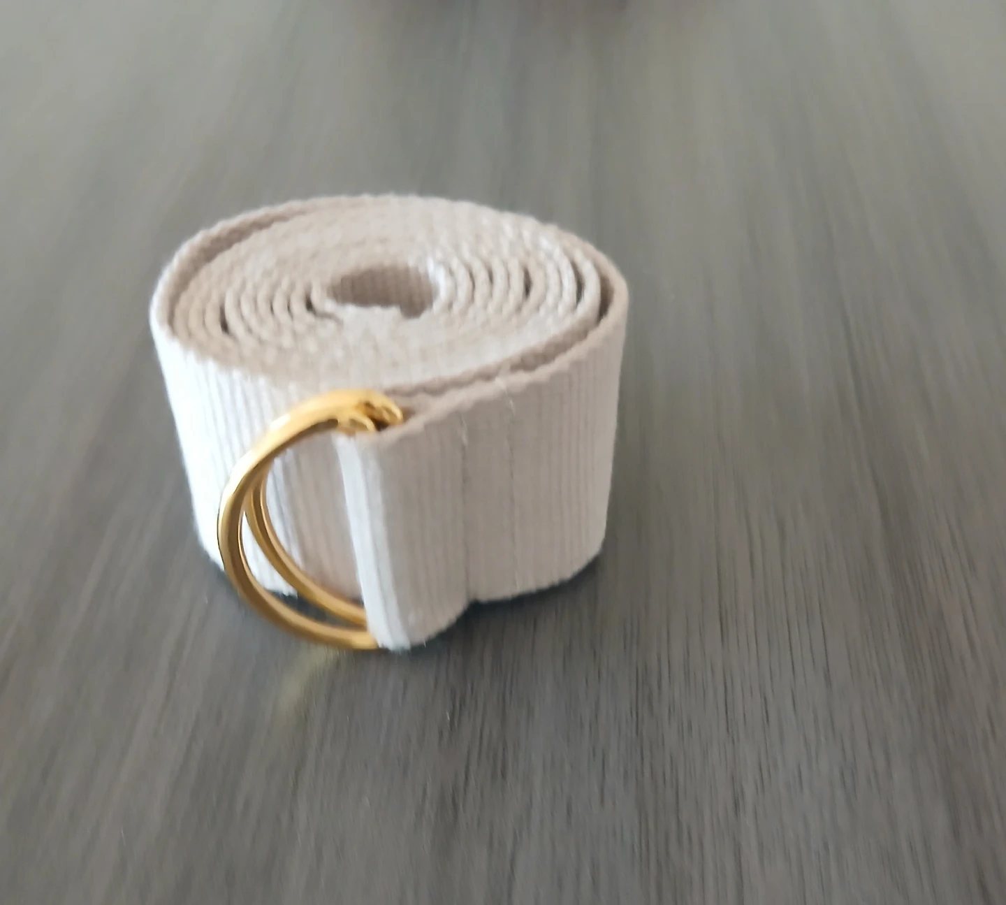 Canvas Web Belt with Double Ring Buckle