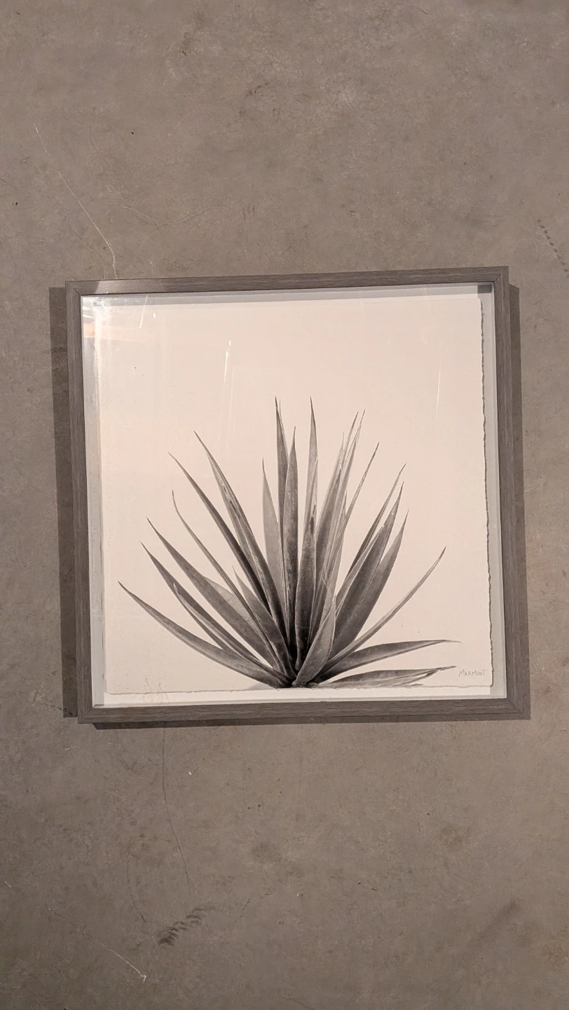 Framed Agave Plant Art Print - photo 2
