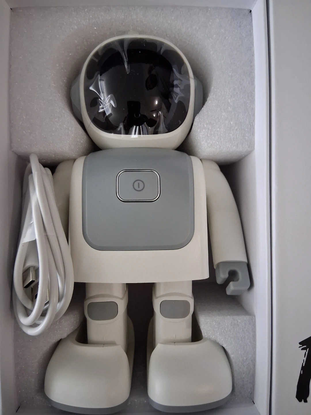 Program Dance Robert Robot RS0 - photo 2