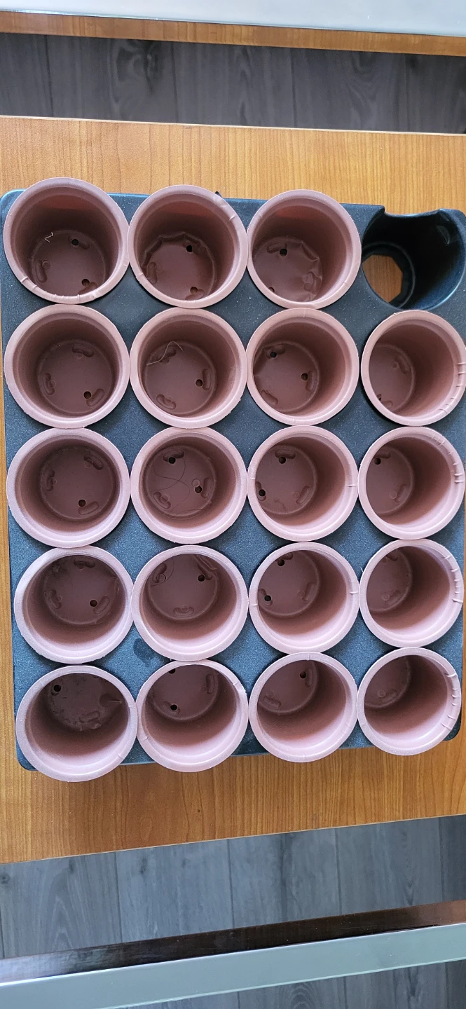 19-Cell Seed Starting Tray with Pots
