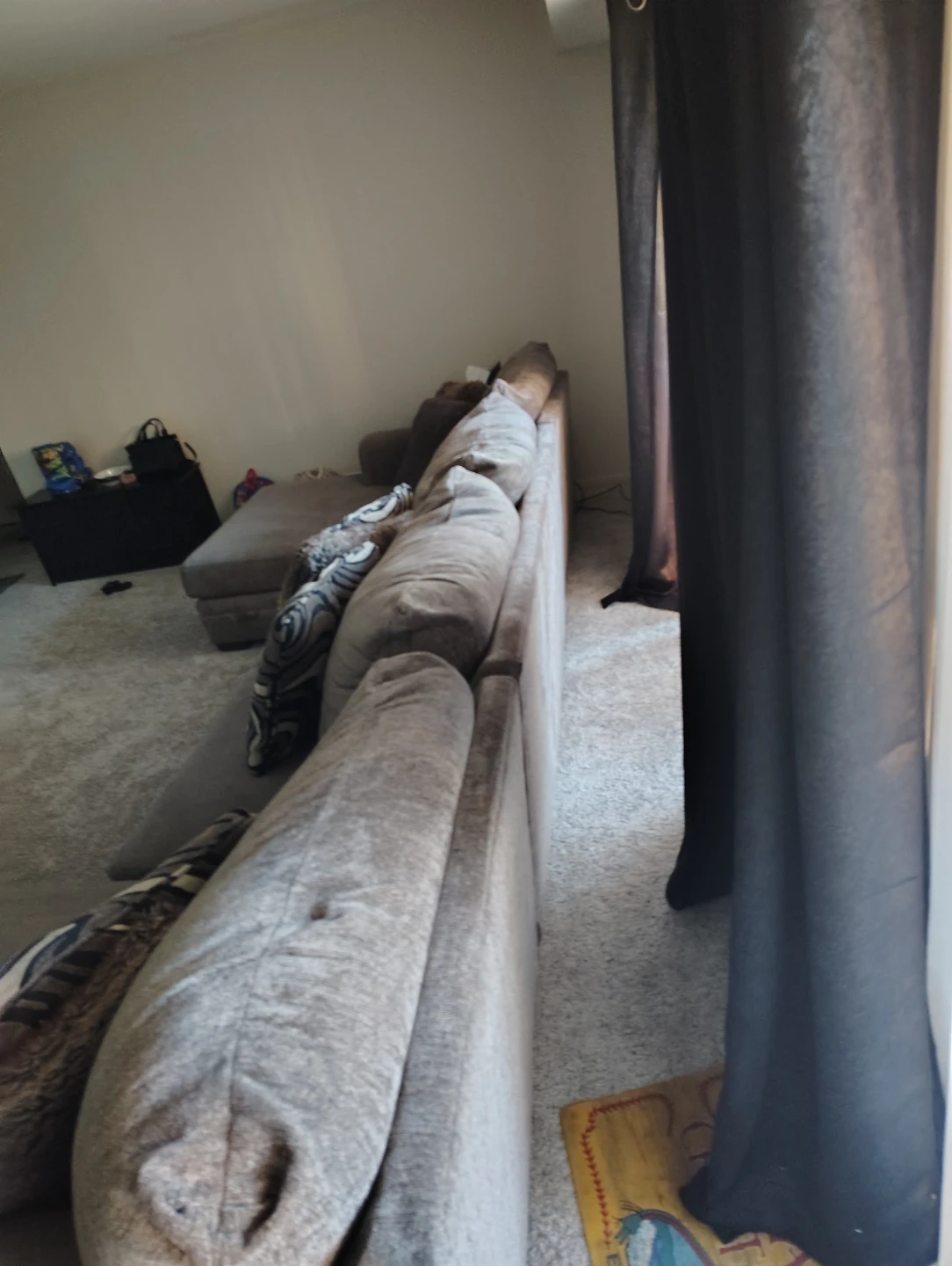 Sectional Sofa with Chaise - photo 3