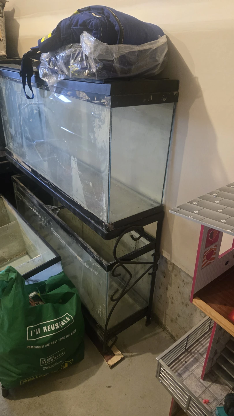 Two Glass Aquariums on Stand