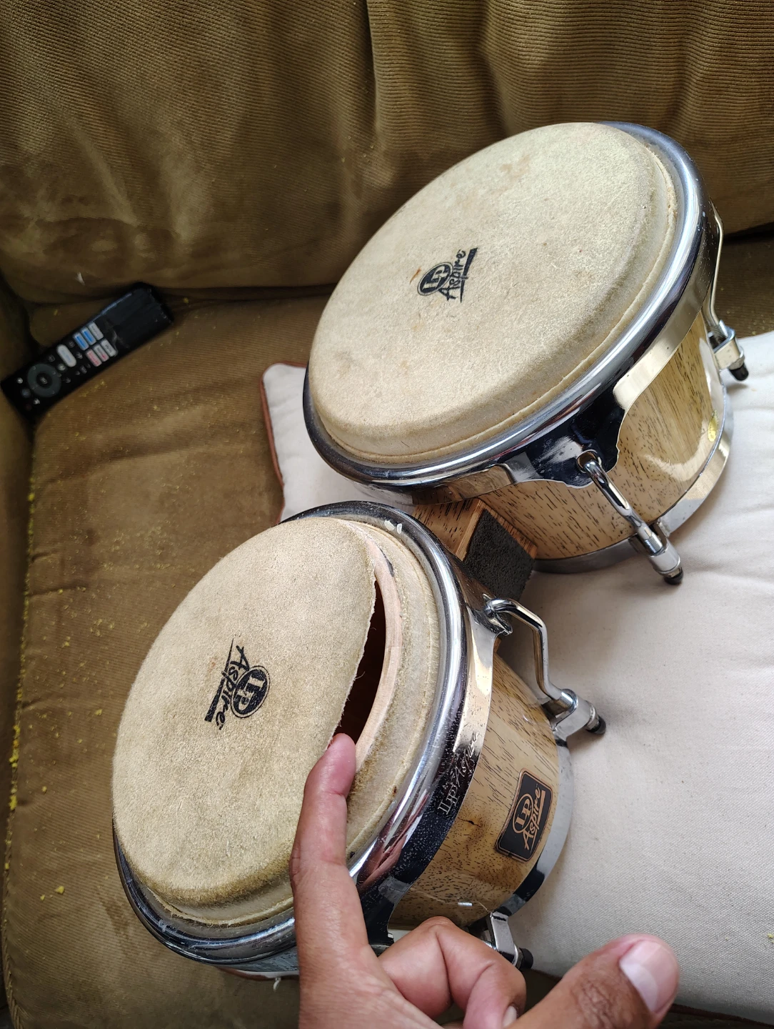LP Aspire Bongos - photo 4