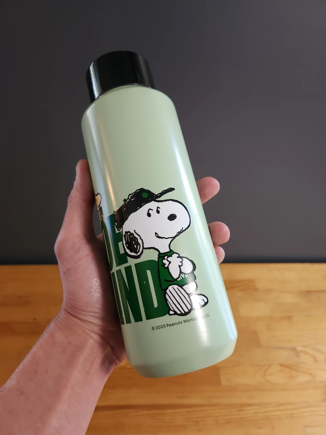 Starbucks x Peanuts Snoopy Steel Water Bottle- (16oz/473ml) - photo 4