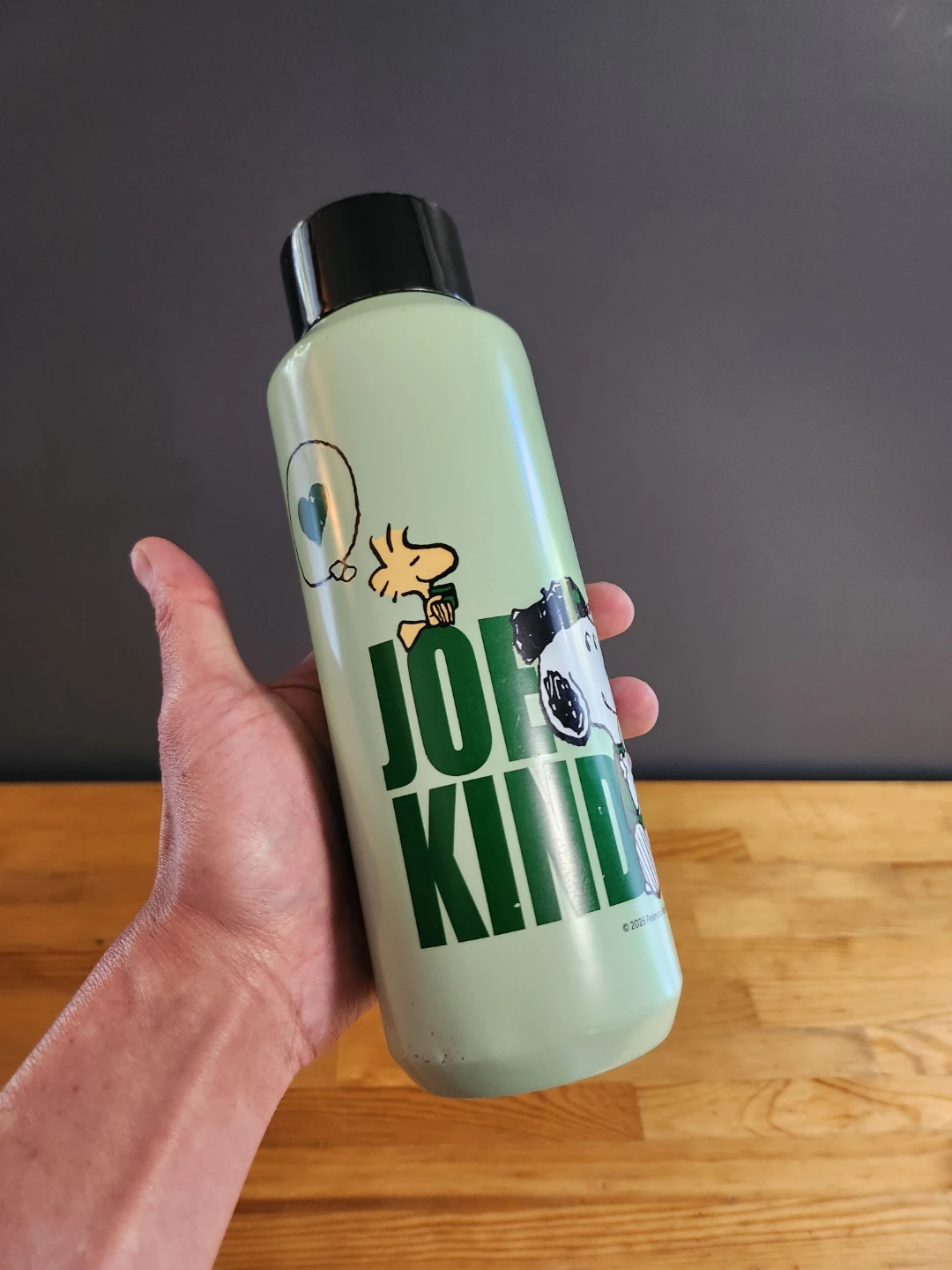 Starbucks x Peanuts Snoopy Steel Water Bottle- (16oz/473ml) - photo 5