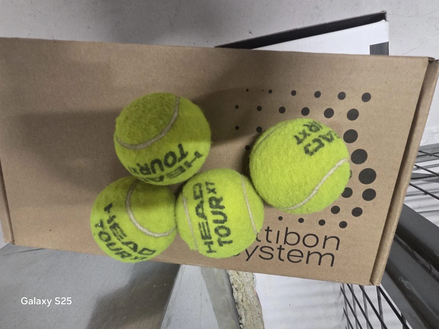 HEAD Tour XT Tennis Balls (4-Pack)