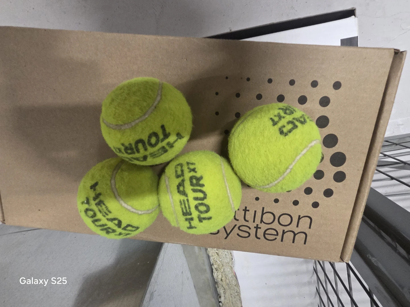 HEAD Tour XT Tennis Balls (4-Pack) - photo 3
