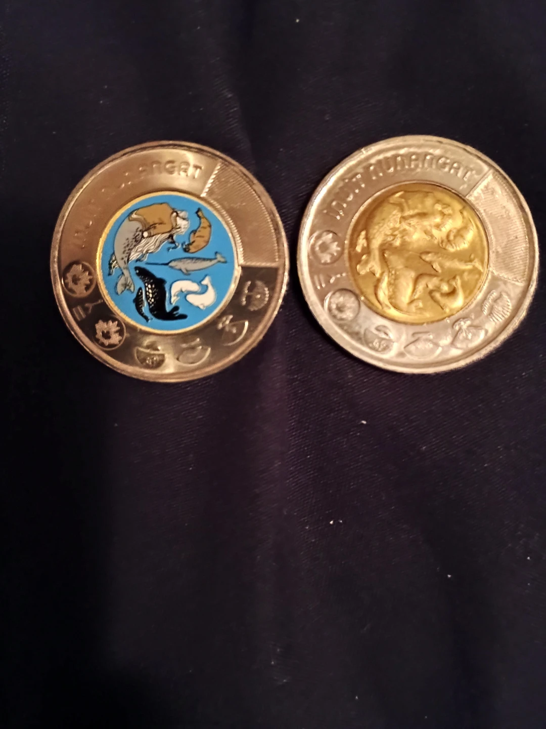 Two Canadian toonie Coins